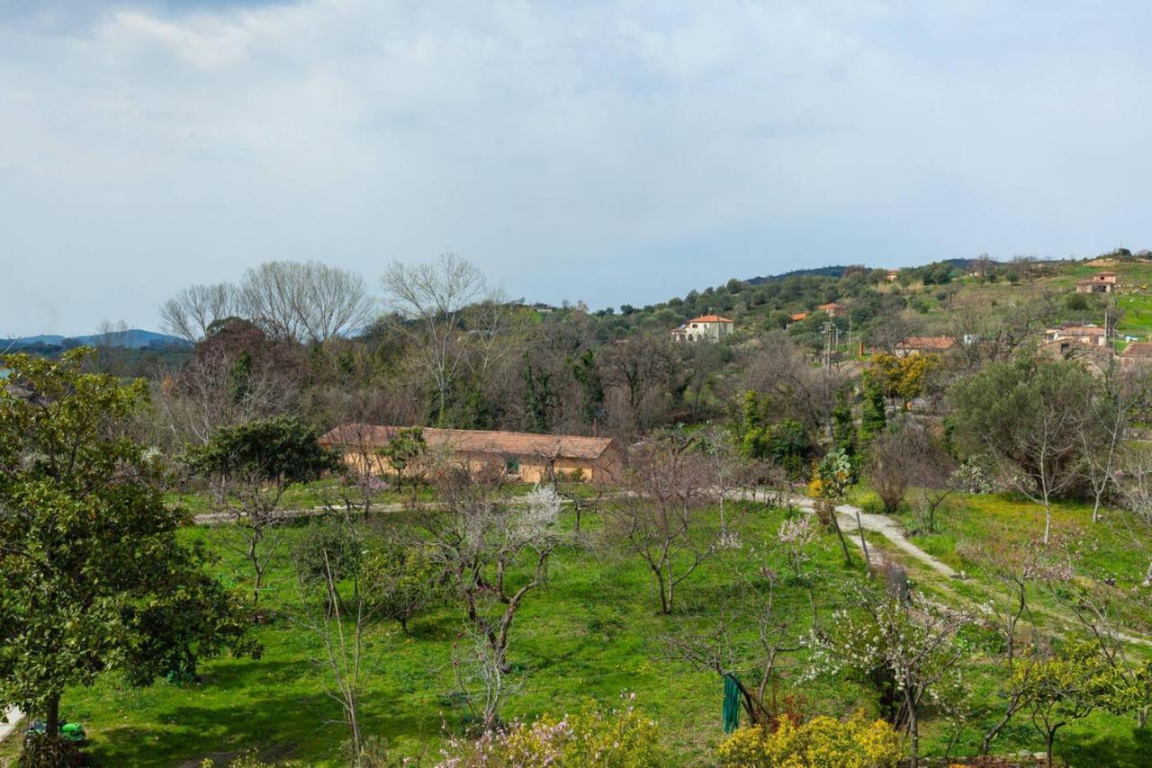 Spacious Apartment In Ceraso With Mountain View Luaran gambar